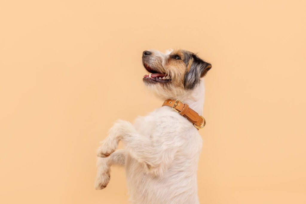 Unternehmensfotografie Berlin und Potsdam